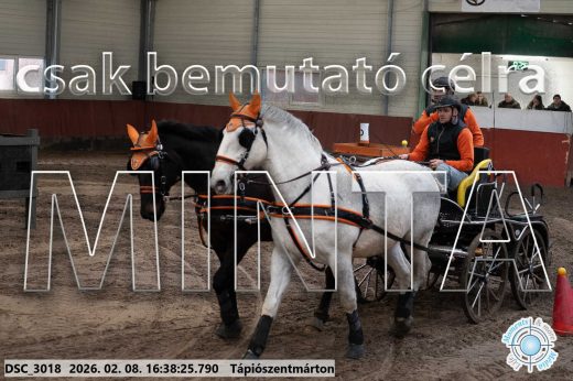 Mintakép 20260208-1124