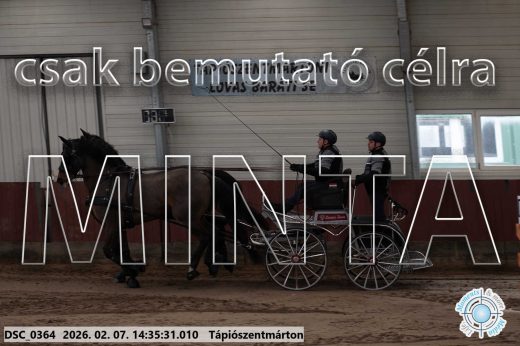 Mintakép 20260207-685