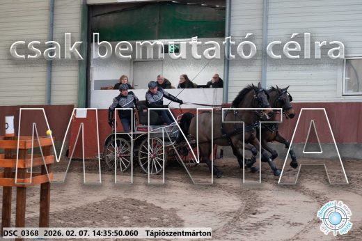 Mintakép 20260207-689