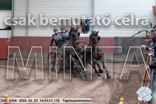 Mintakép 20260207-690