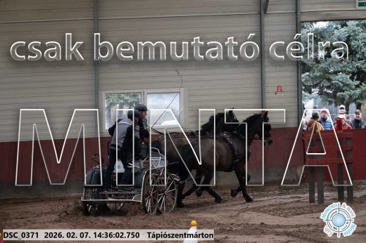 Mintakép 20260207-692