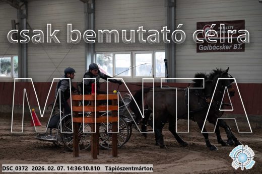 Mintakép 20260207-693
