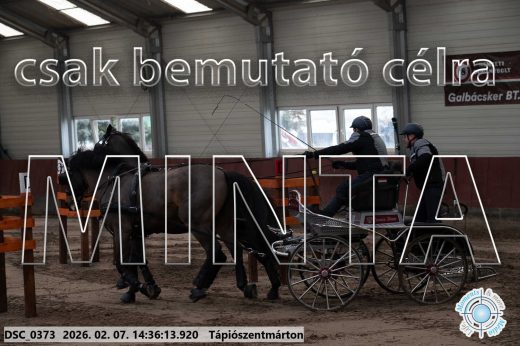Mintakép 20260207-694