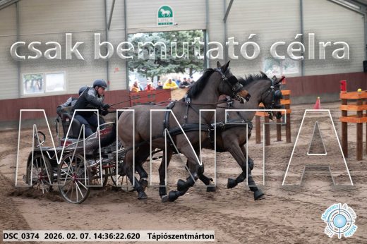 Mintakép 20260207-695
