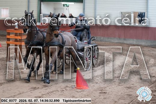 Mintakép 20260207-698