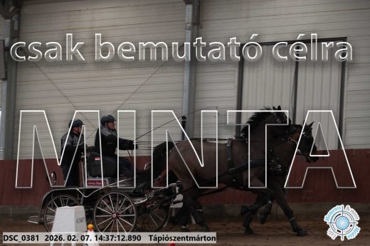 Mintakép 20260207-699