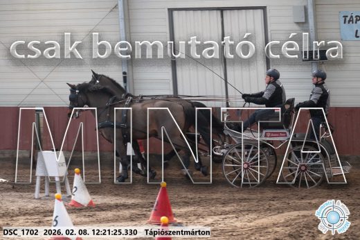 Mintakép 20260208-1126