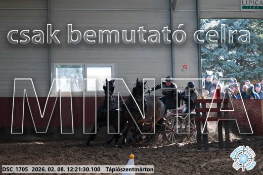 Mintakép 20260208-1129