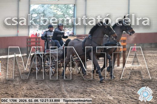 Mintakép 20260208-1130