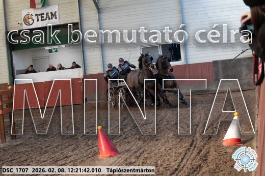 Mintakép 20260208-1131
