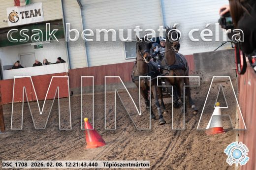 Mintakép 20260208-1132