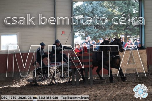 Mintakép 20260208-1134