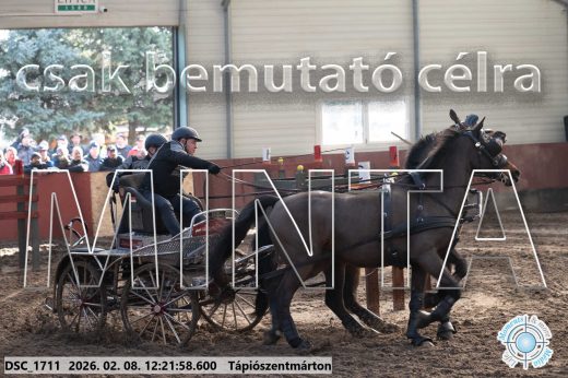 Mintakép 20260208-1135