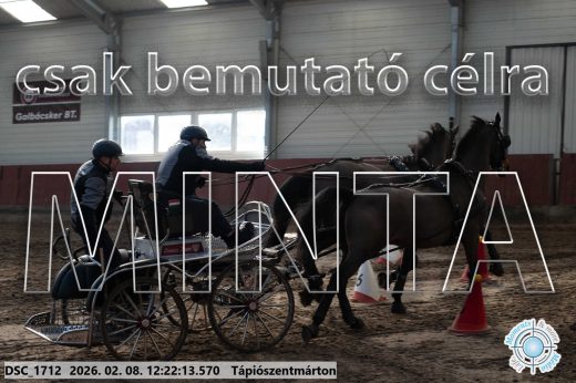 Mintakép 20260208-1136