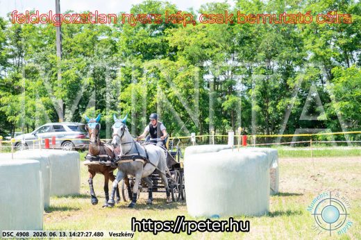 Mintakép 20260613-599
