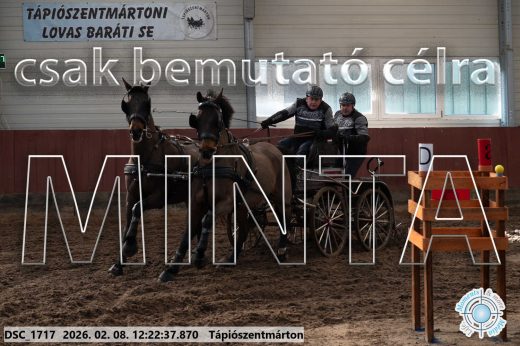 Mintakép 20260208-1141
