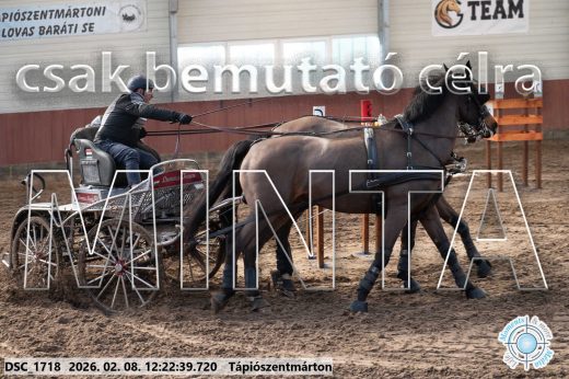 Mintakép 20260208-1142