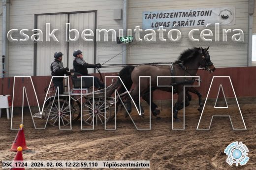 Mintakép 20260208-1146