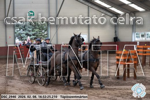 Mintakép 20260208-1147