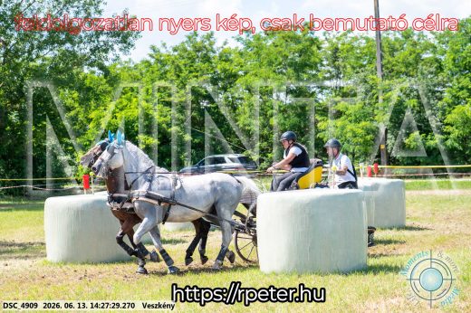 Mintakép 20260613-600