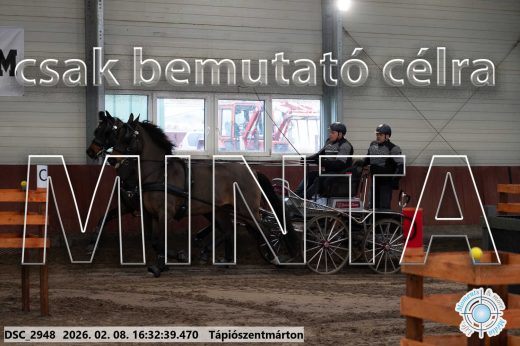 Mintakép 20260208-1149