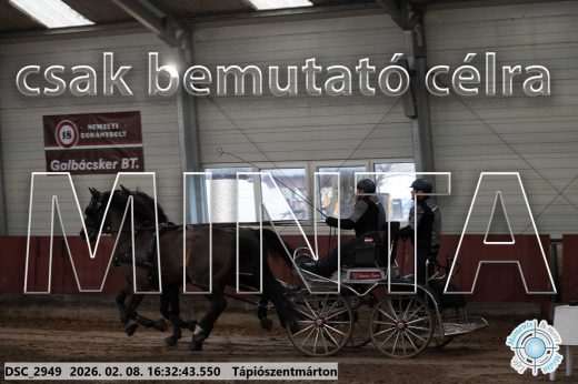 Mintakép 20260208-1150