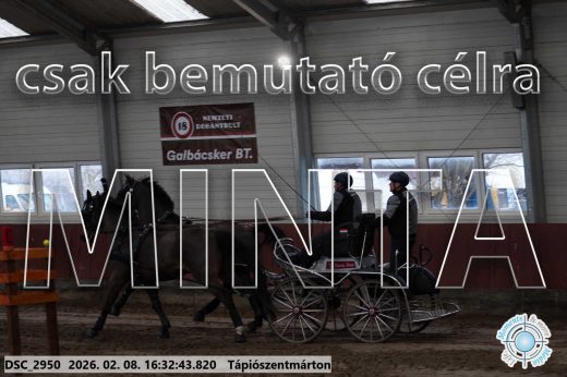 Mintakép 20260208-1151