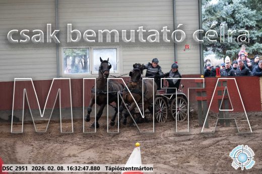 Mintakép 20260208-1152