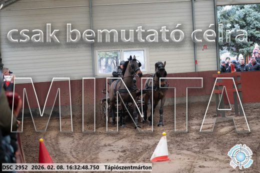 Mintakép 20260208-1153