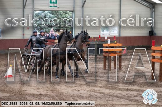 Mintakép 20260208-1154