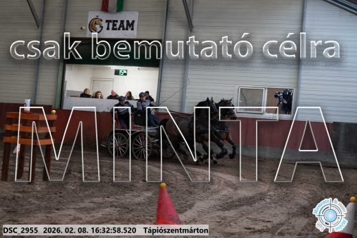 Mintakép 20260208-1156