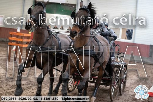 Mintakép 20260208-1158