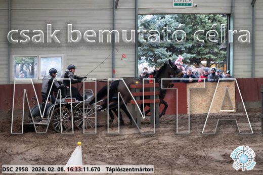 Mintakép 20260208-1159