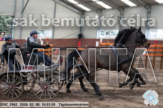 Mintakép 20260208-1163