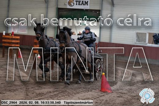 Mintakép 20260208-1165