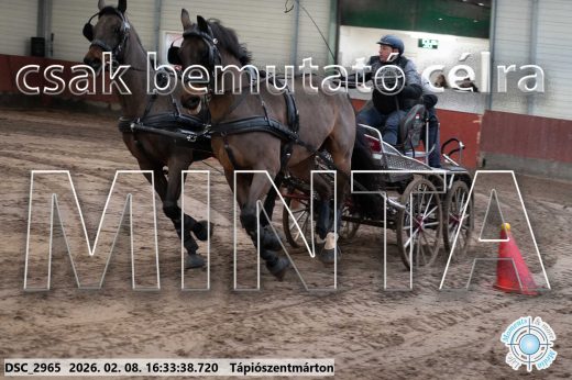 Mintakép 20260208-1166