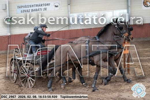 Mintakép 20260208-1168