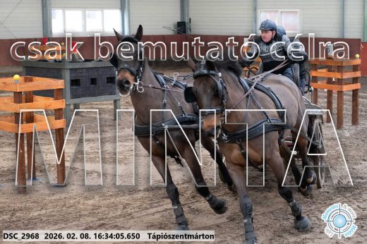 Mintakép 20260208-1169
