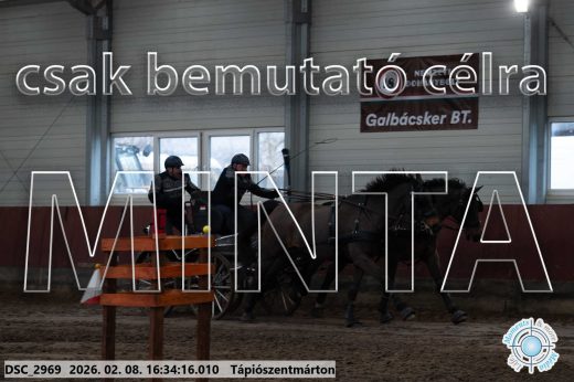 Mintakép 20260208-1170