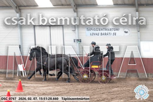 Mintakép 20260207-705