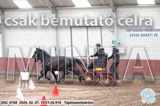 Mintakép 20260207-706