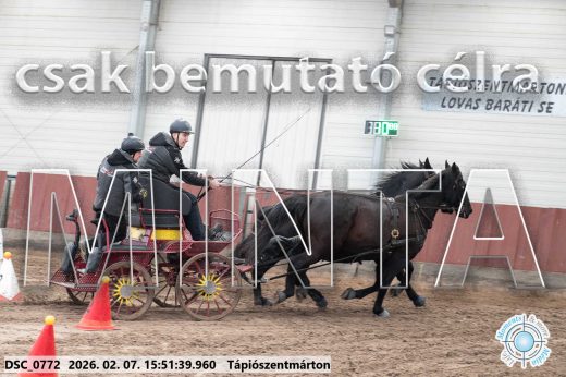 Mintakép 20260207-710