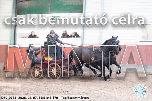 Mintakép 20260207-711