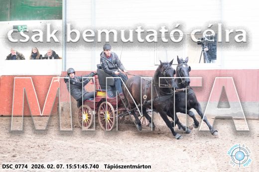 Mintakép 20260207-712