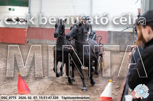 Mintakép 20260207-713