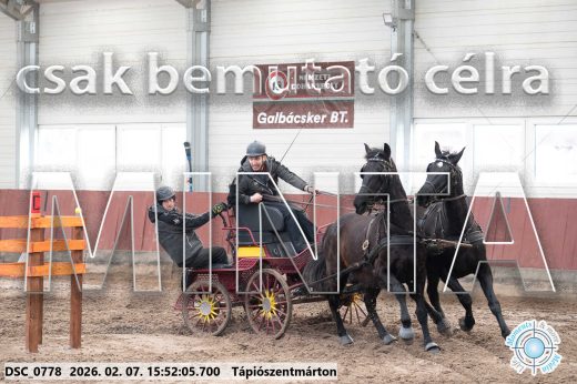 Mintakép 20260207-714