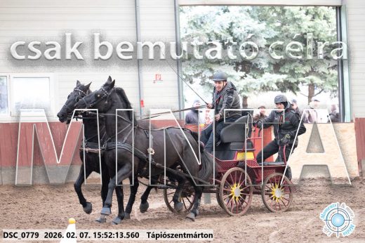 Mintakép 20260207-715