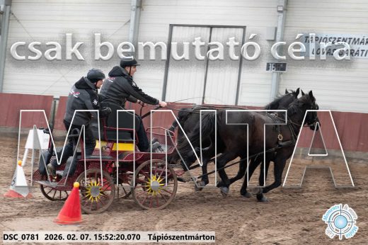 Mintakép 20260207-717