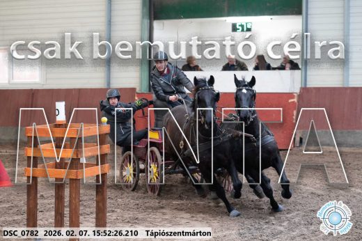 Mintakép 20260207-718