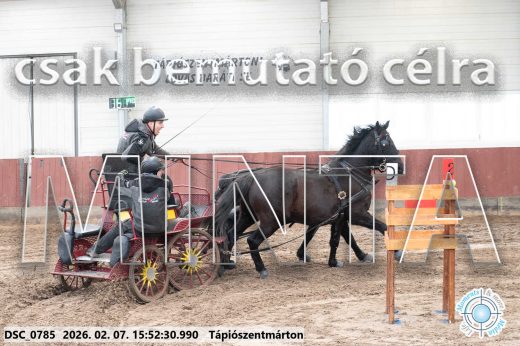 Mintakép 20260207-721